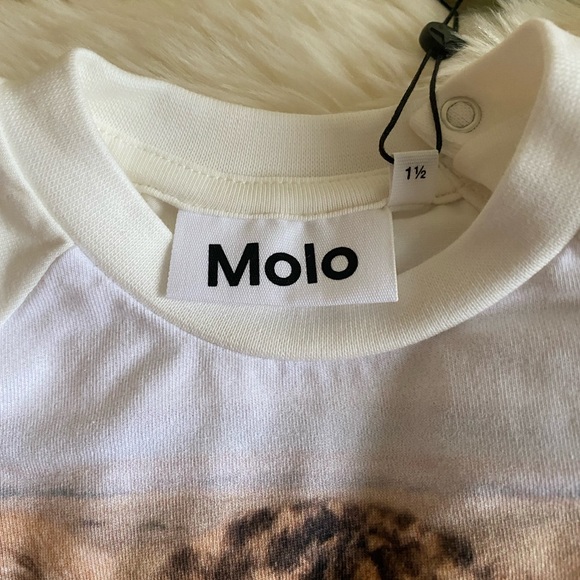 Molo Boy's Esco Lion Cub Graphic Sweatshirt Size 18M Cream, tan, brown - Picture 6 of 8